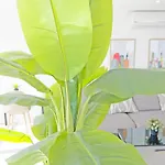 Loft Deluxe, Luminoso, Parking Y Piscina - A 100 M Del Mar Ac Διαμέρισμα